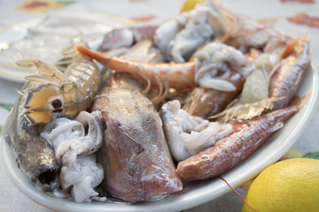 red mullet and codfish for fish soup