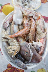 red mullet and codfish for fish soup