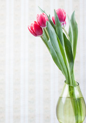 Tulip flowers in vase over vintage background
