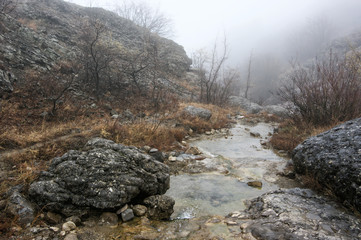 Mountain stream in canyon