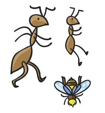 Ants and bee. Vector illustration