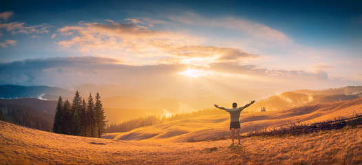 in a golden light © Bashkatov
