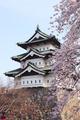 弘前公園の桜
青森県弘前市にある弘前公園の桜です。