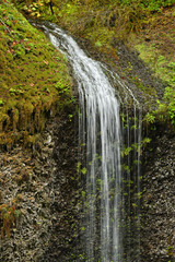 Unknown waterfall in Silver Falls State Park
