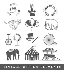 Set of elements of the circus