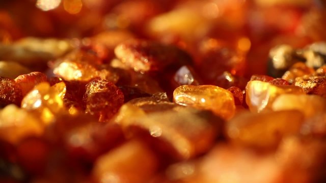 Dolly amber stone macro