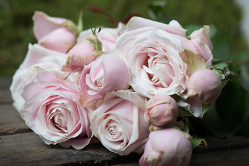 Close up image of a bouquet of pink roses