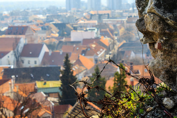 building roofs in Zemun, pat of Belgrade
