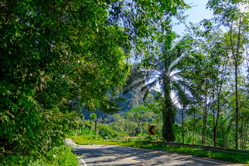 Fototapeta na wymiar Rural Thai road
