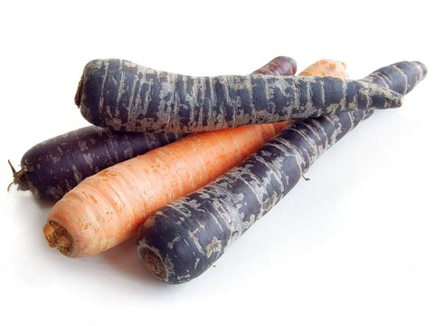 black carrot