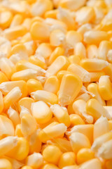 Bulk of yellow corn grains texture