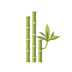 Fototapeta na wymiar Bamboo vector flat illustration. Leaf green design, japanese and chinese bamboo, asia isolated white icon. Spa icon