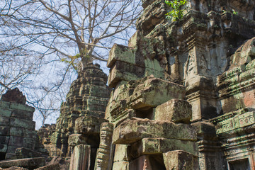 Fototapeta premium Angkor Wat temple in Cambodia.