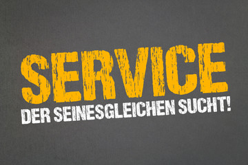 Service der Seinesgleichen sucht!