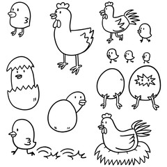 vector set of chicken and egg