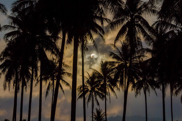 Fototapeta na wymiar Dramatic sun ecliption in Thailand