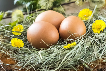 Easter eggs in nest and pussy willow branch.