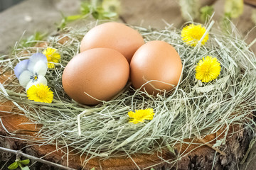 Easter eggs in nest and pussy willow branch.