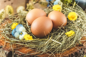 Easter eggs in nest and pussy willow branch.