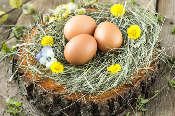 Easter eggs in nest and pussy willow branch.