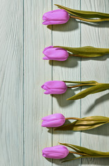 Mothers Day background.Tulips purple on blue wood