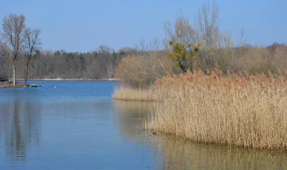 Naturschutzgebiet Altrhein bei Karlsruhe