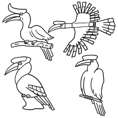 vector set of hornbill
