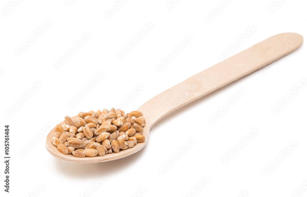 Wall mural wheat in a wooden spoon isolated