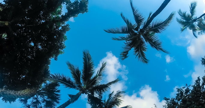 Miami blue sky 4k
