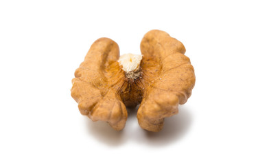 Walnuts isolated