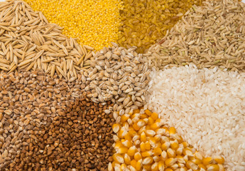 Collection Set of Cereal Grains