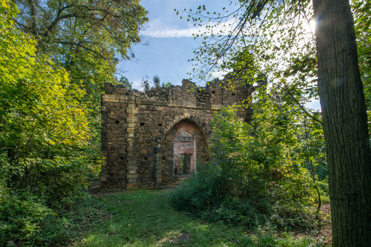 Ruine bei Pillnitz