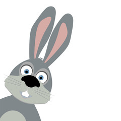 cartoon rabbit on white background