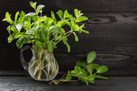 Fresh sprigs of mint in a jug