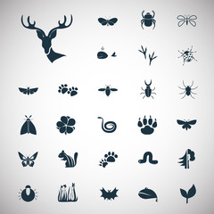 Set of twenty seven nature icons
