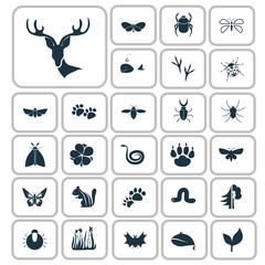 Set of twenty seven nature icons