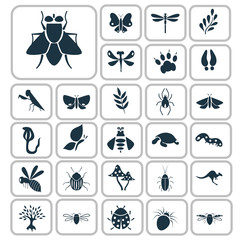 Set of twenty seven nature icons