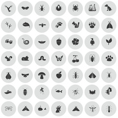 Set of forty nine nature icons