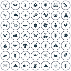 Set of forty nine nature icons