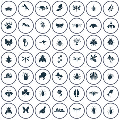 Set of forty nine nature icons