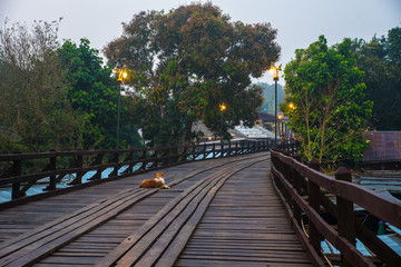 Dog on Mon Bridge at dawn.