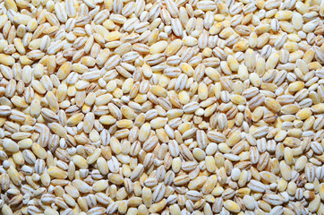 pearl barley texture