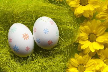 Painted Easter eggs in the nest and daisy flowers