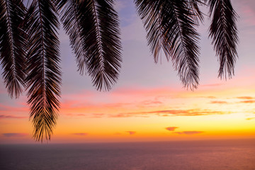 Fototapeta na wymiar Palm leaves on the sky background on the sunrise. Focused on the sky