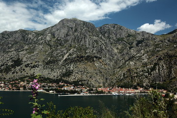 EUROPE BALKAN MONTENEGRO KOTOR