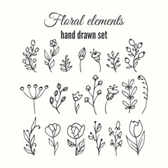 Vector floral decorative set. Herbs and wild flowers.