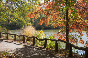 Colorful Central Park New York City autumn path with wooden fence by pond