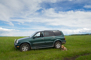 car and dog on the green grass on the background of clouds