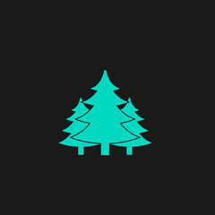 Tree, Christmas fir tree