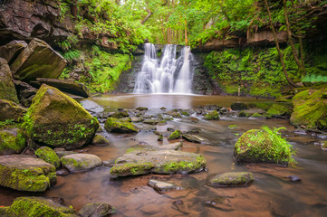Obraz premium Goit Stock Falls on Harden Beck,